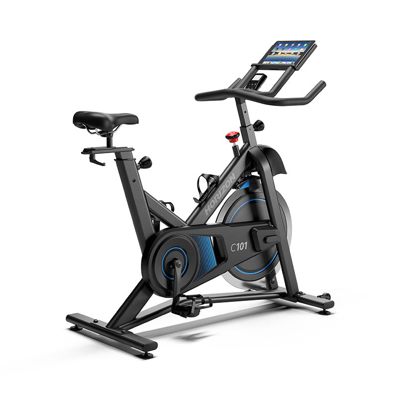 horizon spin bike canada